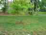 pic40.jpg